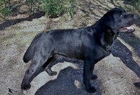 /album/fotogaleria/a002-2-640x435-jpg/